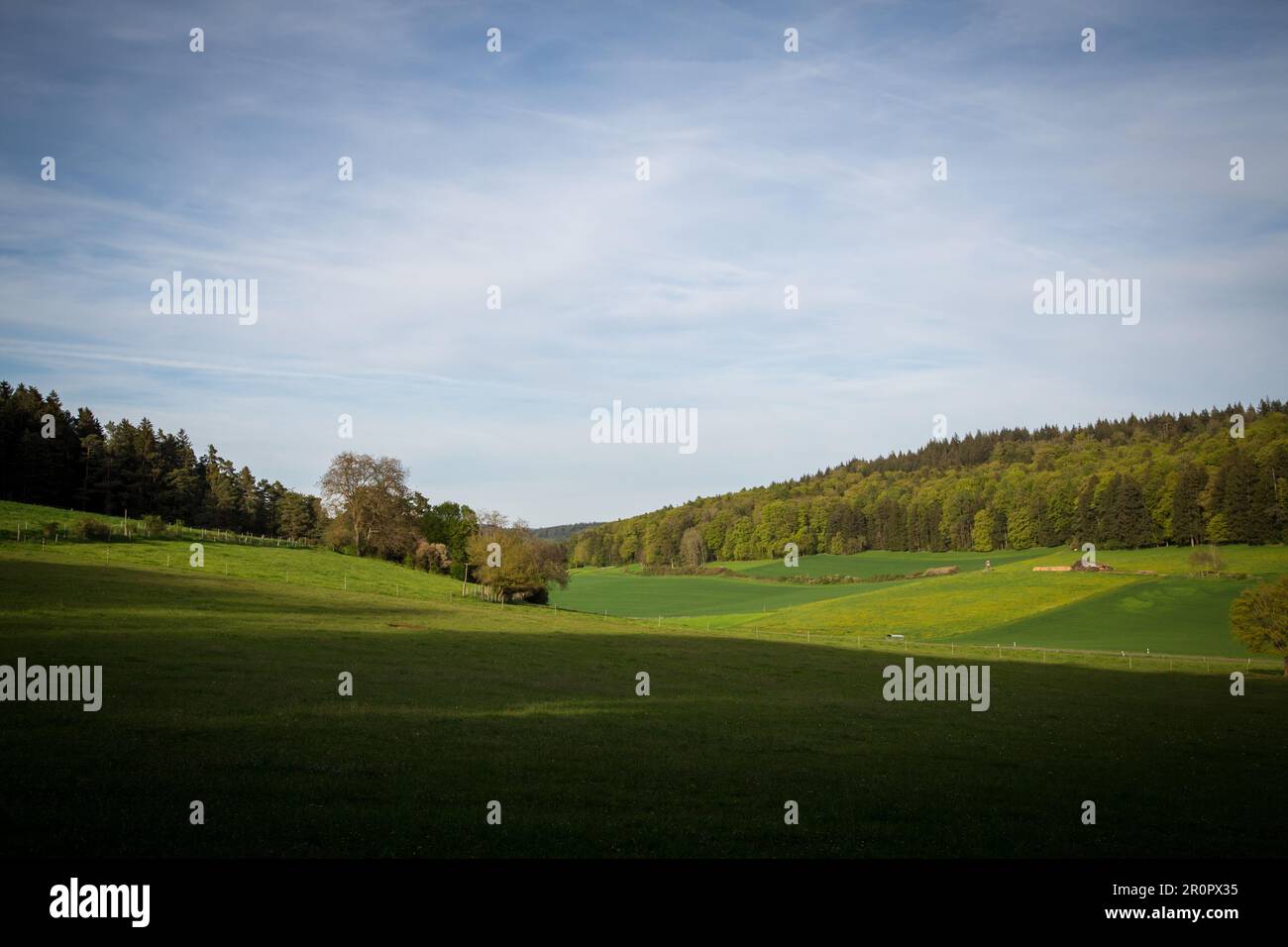 Paesaggio idilliaco in primavera, Altmühltal, Baviera, Germania Foto Stock