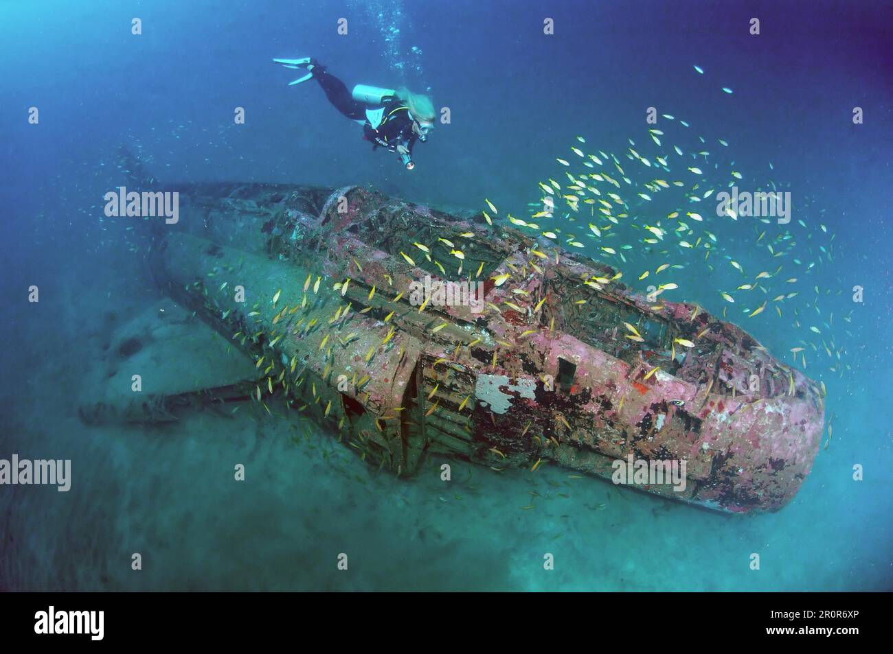 Subacquei al relitto di McDonnell Douglas F-4 aereo militare Phantom, Subic Bay, Luzon Island, Filippine Foto Stock