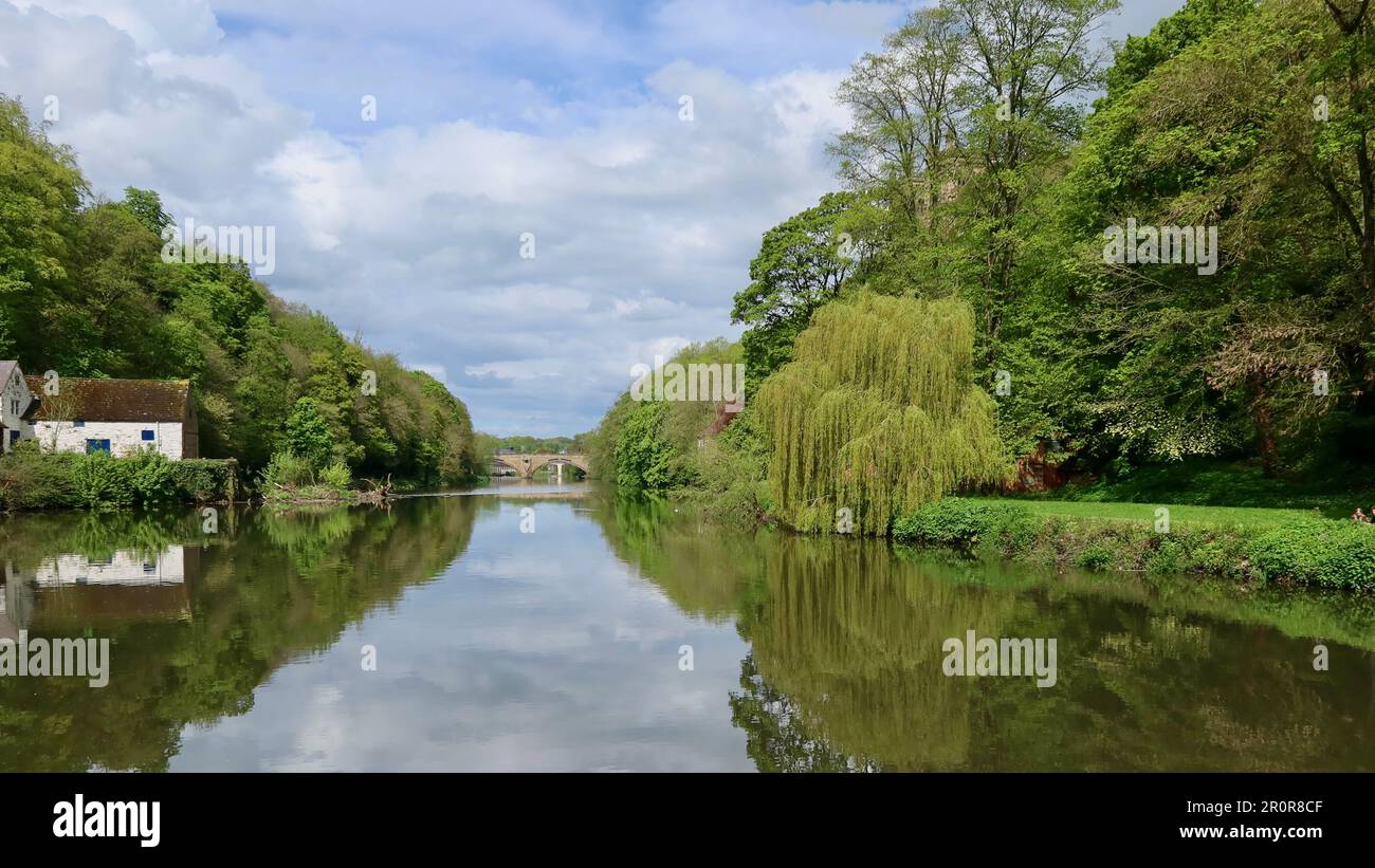 Durham, Regno Unito - 9 maggio 2023: The Scenic River Wear. Old Mill sulla riva sinistra. Foto Stock