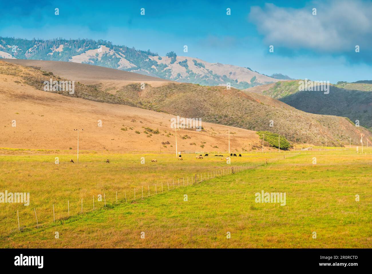 Paesaggio con ranch vicino a San Simeon, California, Stati Uniti Foto Stock