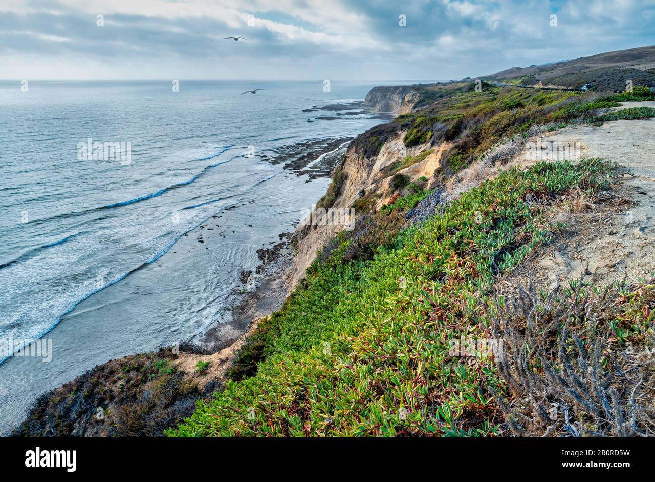 Cliffs Beach vicino a Davenport, Santa Cruz County, California, Stati Uniti Foto Stock