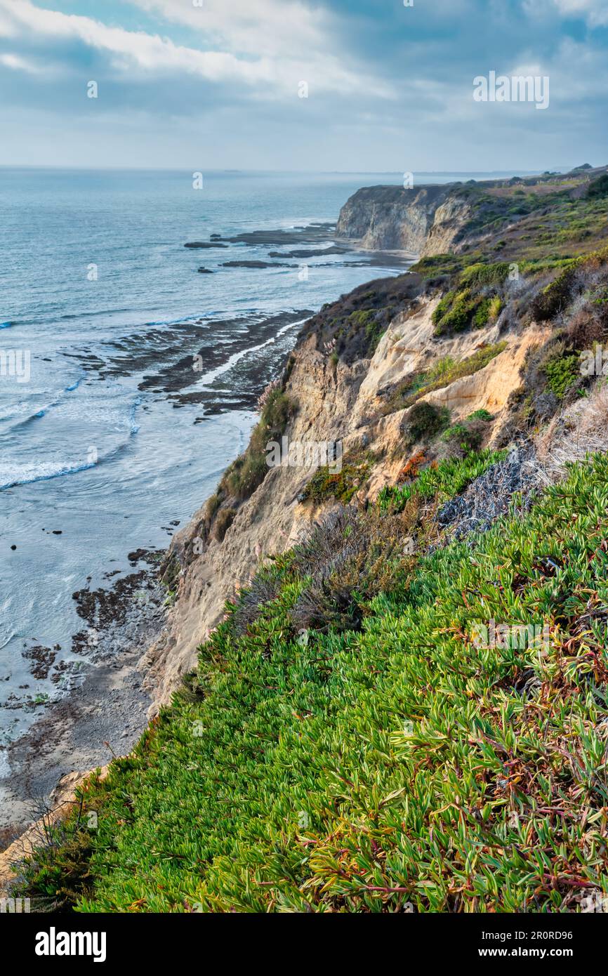 Cliffs Beach vicino a Davenport, Santa Cruz County, California, Stati Uniti Foto Stock