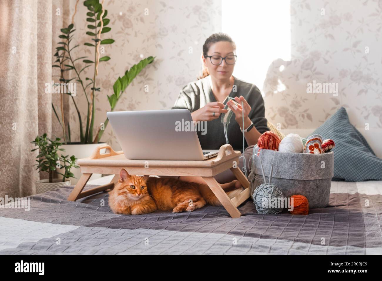 Ginger Cat guarda come la donna si accovacciano mentre guarda un film sul notebook. Impara a lavorare a maglia dalle lezioni video su Internet. Casa accogliente e anti stress hobby Foto Stock