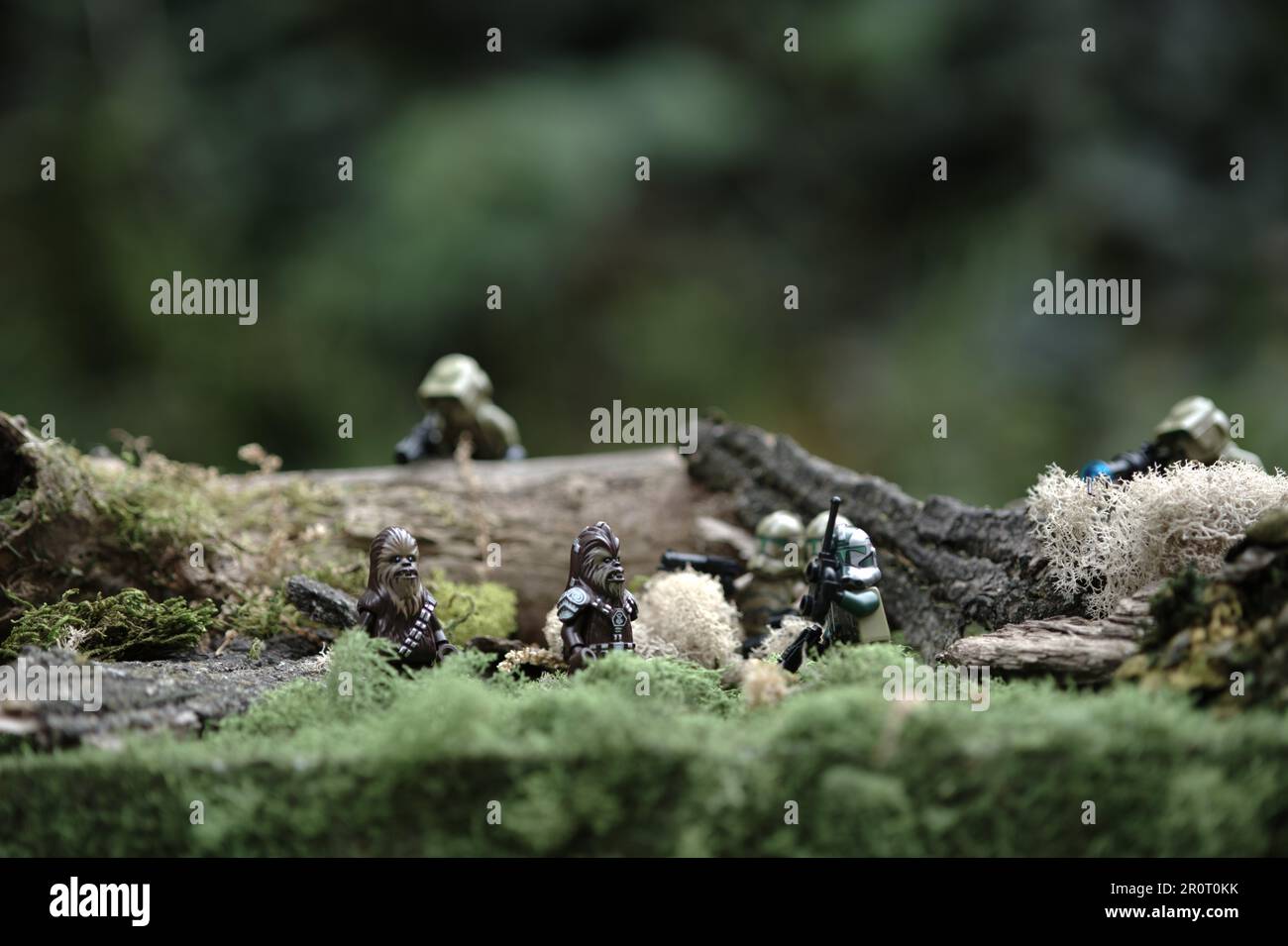 Pattuglia forestale Foto Stock