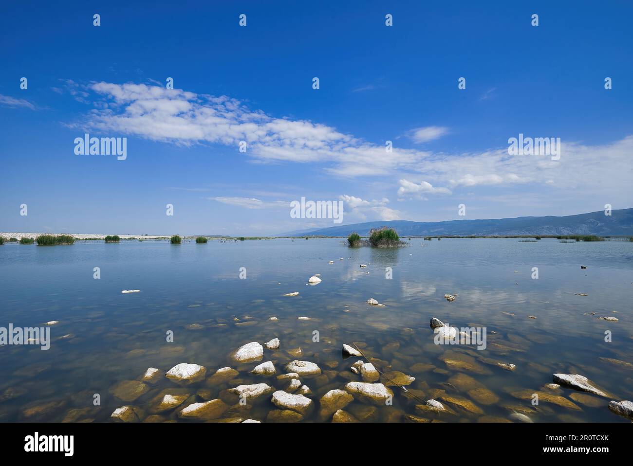 Lago Karla, lago calmo e bello, Grecia, una zona umida unica, con cambi d'acqua, piccole isole e piante acquatiche e uccelli. Foto Stock