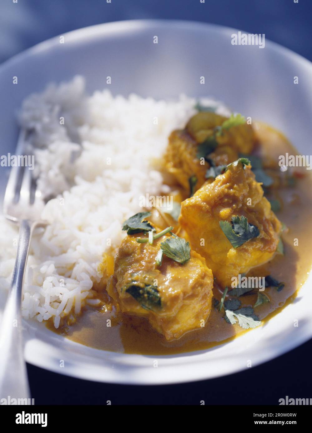 korma di pollo e riso semplice Foto Stock