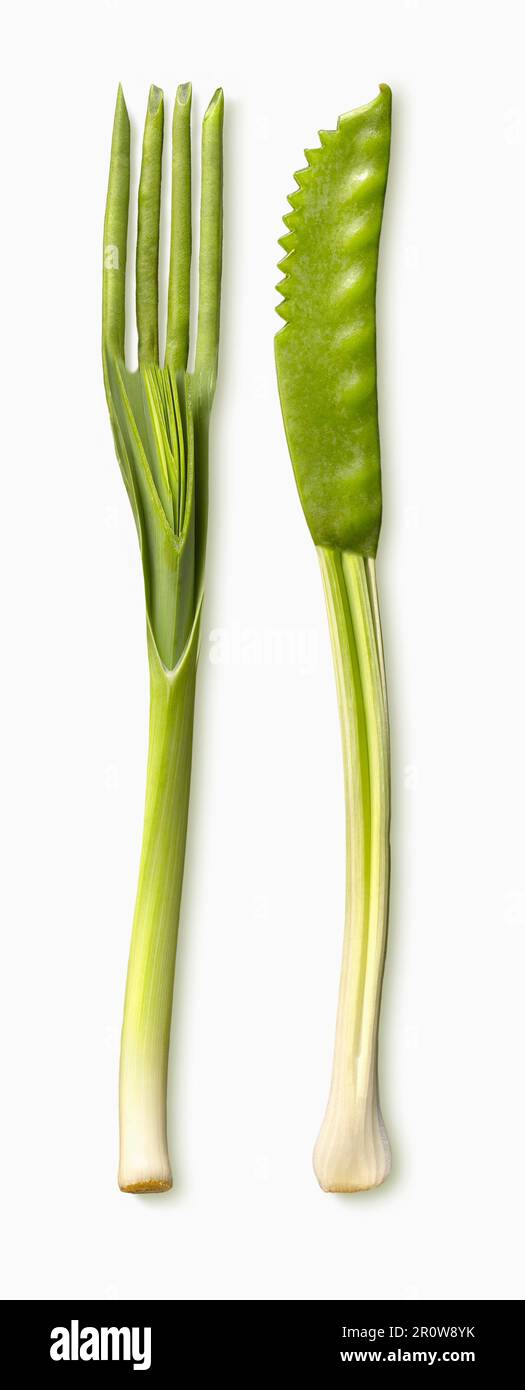 Coltello e forchetta fatti di verdure verdi Foto Stock