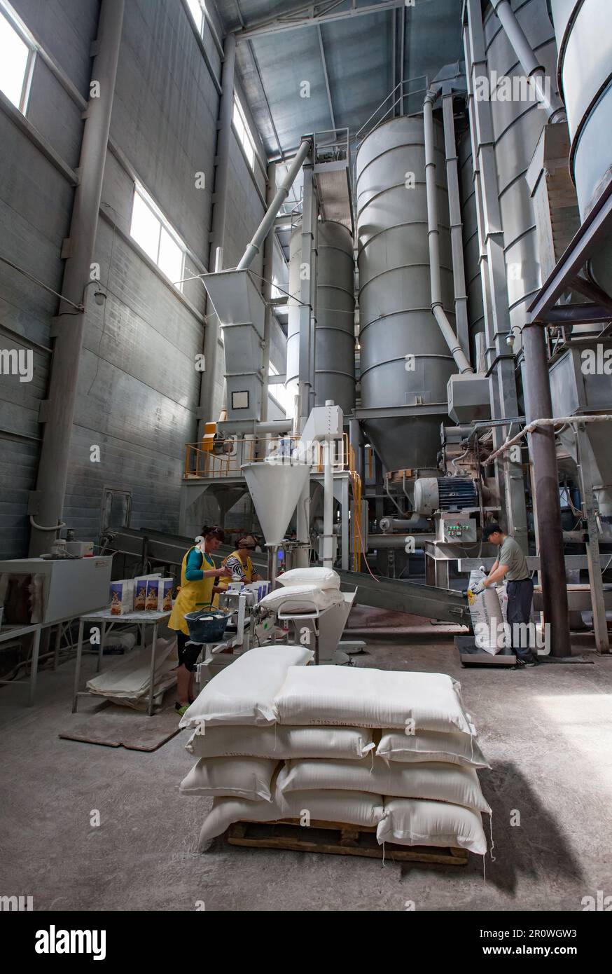 Provincia del Kazakistan settentrionale, Kazakistan - 12 maggio 2012: Impianto di grano egin linea pacchetto moderno. Operai che imballano la farina in sacchetti. Foto Stock
