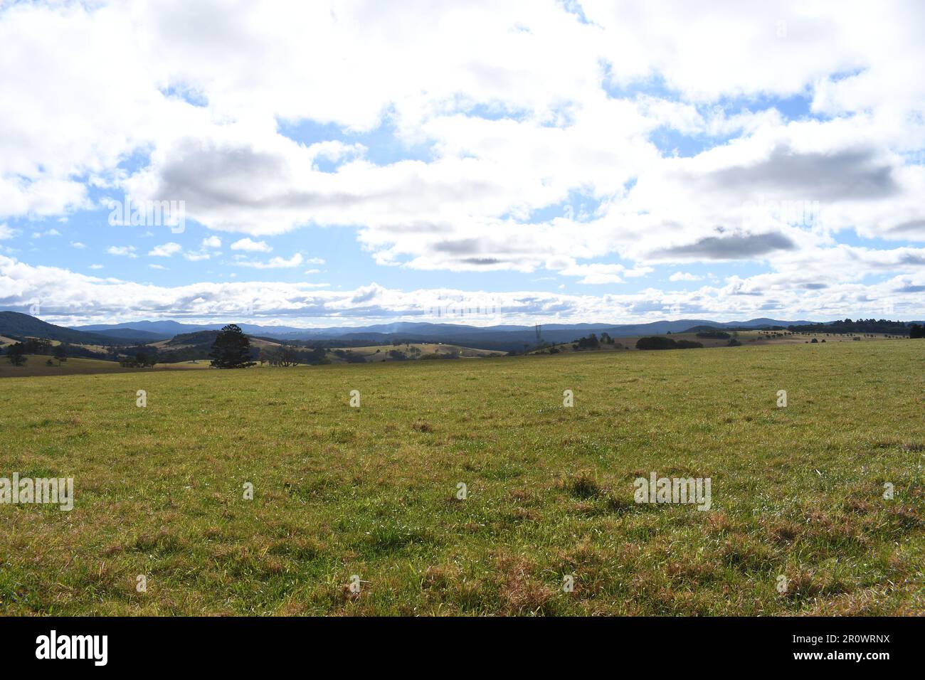 Campo di pascolo panoramico dalla cittadina rurale australiana Dorrigo, NSW: Montagne ondulate campi verdi colline blu ricco pascolo dell'Australia. Foto Stock