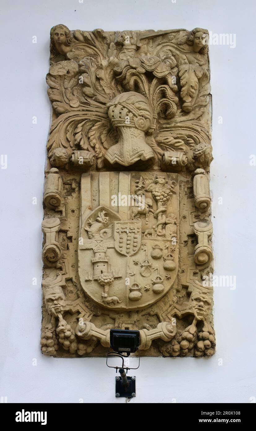 Stemma in pietra scolpita in una casa a Santillana del Mar Cantabria Spagna Foto Stock
