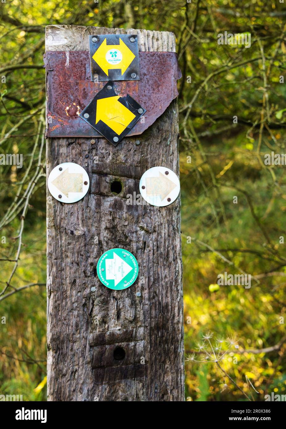 Indicazioni per il sentiero nei boschi vicino a Castle Combe, Wiltshire, Cotswolds, Inghilterra Foto Stock
