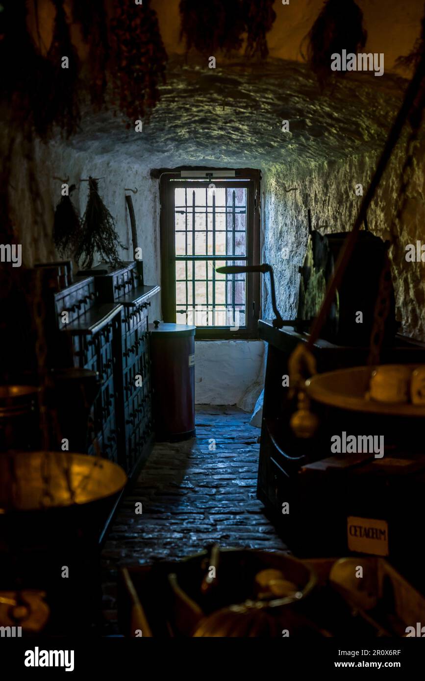 Museo della farmacia, museo del castello sulla storia della farmacia con oltre 20.000 mostre su 2000 anni di scienza medica e farmacia, tra cui apoth di vetro Foto Stock