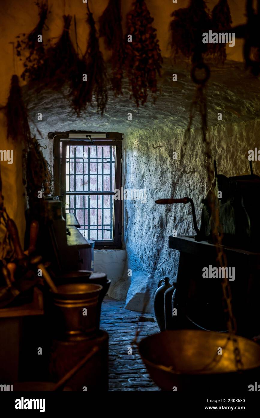 Museo della farmacia, museo del castello sulla storia della farmacia con oltre 20.000 mostre su 2000 anni di scienza medica e farmacia, tra cui apoth di vetro Foto Stock