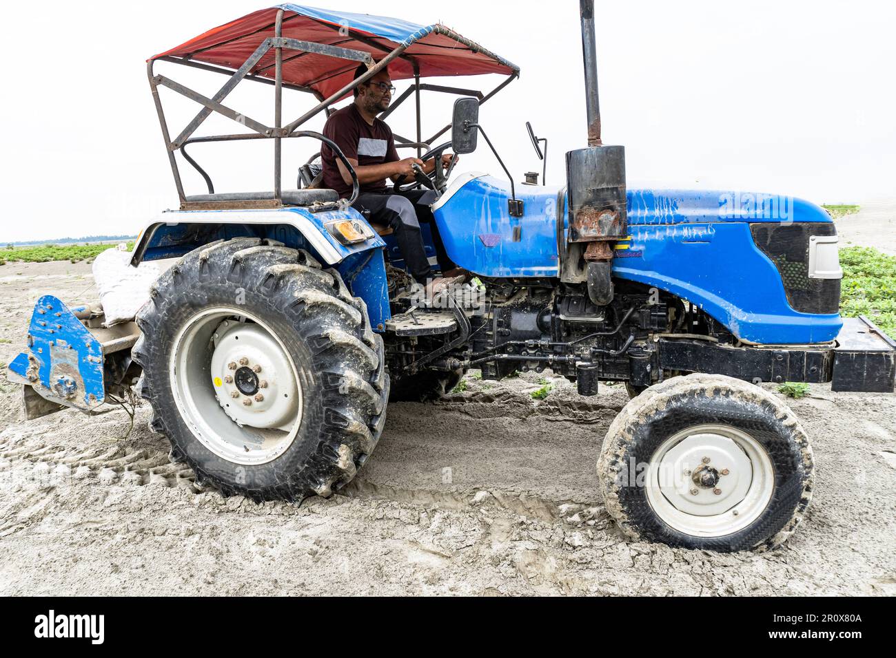 Un agricoltore del Bangladesh che lavora con un trattore in campi agricoli. Buon contadino seduto su un trattore Foto Stock