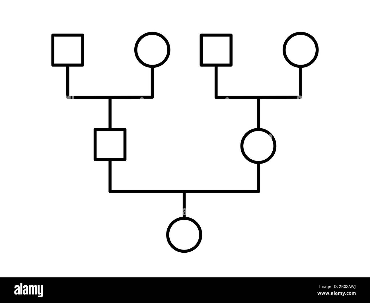 Genogramma. Grafico ad albero della famiglia. Diagramma semplice che mostra i membri della famiglia. Struttura ad albero della Genealogia. Può essere usato per ricerca di eredità di ascendenza. Vettore Illustrazione Vettoriale