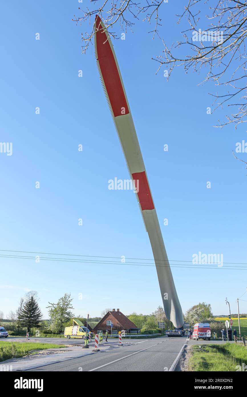 Raddingsdorf, Germania, 8 maggio 2023: Trasporto di una pala di turbina eolica sollevata per evitare il contatto con la linea di alimentazione e gli alberi su un roa di paese stretto Foto Stock