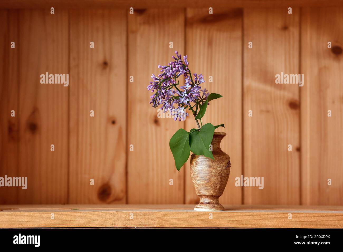 Un vaso con fiori su sfondo di legno da vista laterale Foto Stock