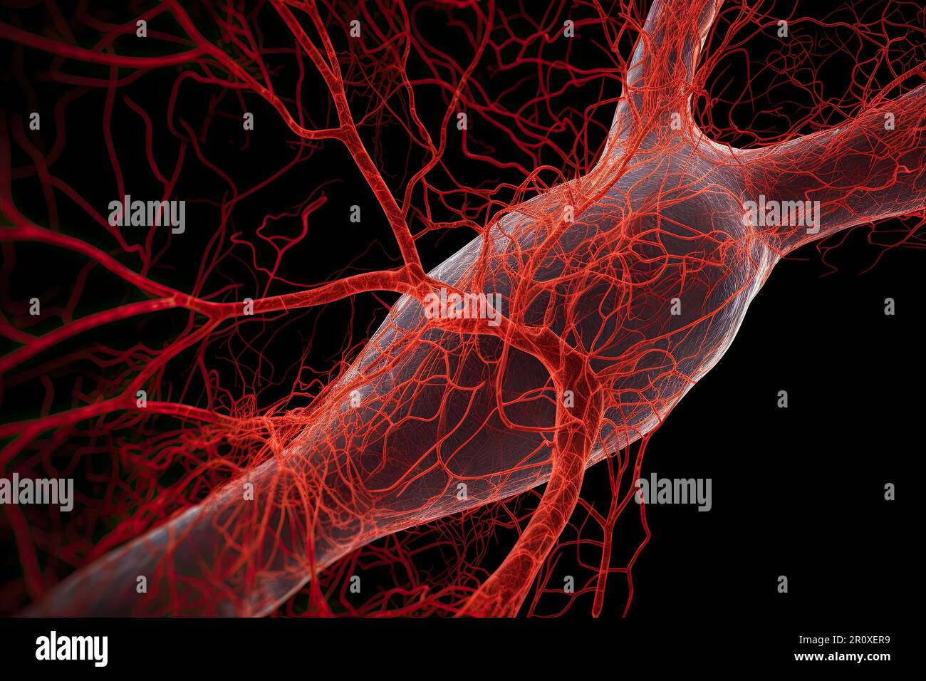 3D primo piano microscopico di un capillare isolato su sfondo nero. Un capillare è un piccolo vaso sanguigno a parete sottile che collega arterie e vene Foto Stock