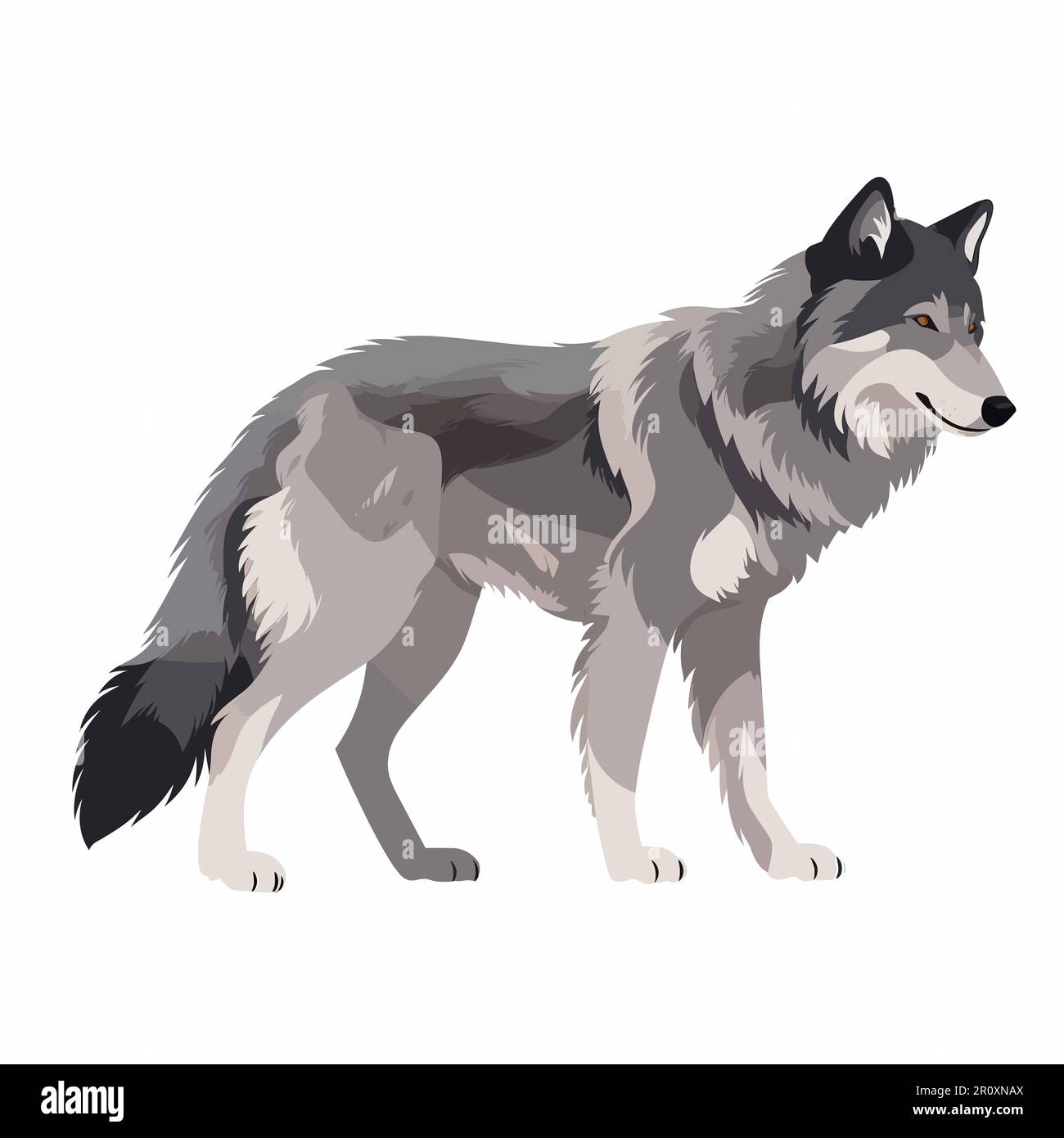 Immagine vettoriale di un lupo, con sfondo bianco, Foto Stock