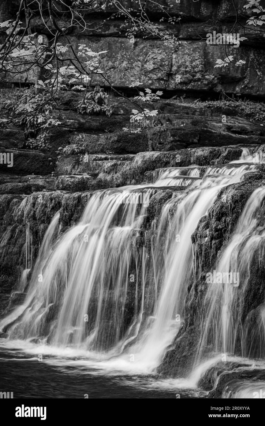 Cascate del North Yorkshire - Cotter Force Foto Stock