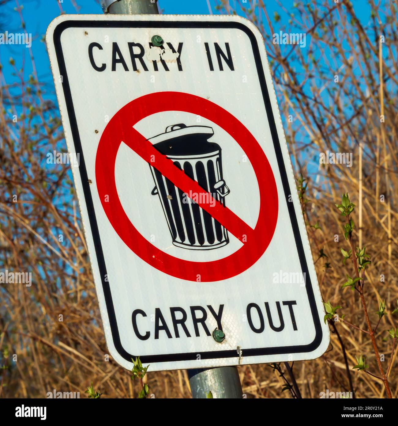 Un cartello in un parco pubblico vicino al sentiero natura Rothchild chiede agli utenti del sentiero di non figliare. Foto Stock