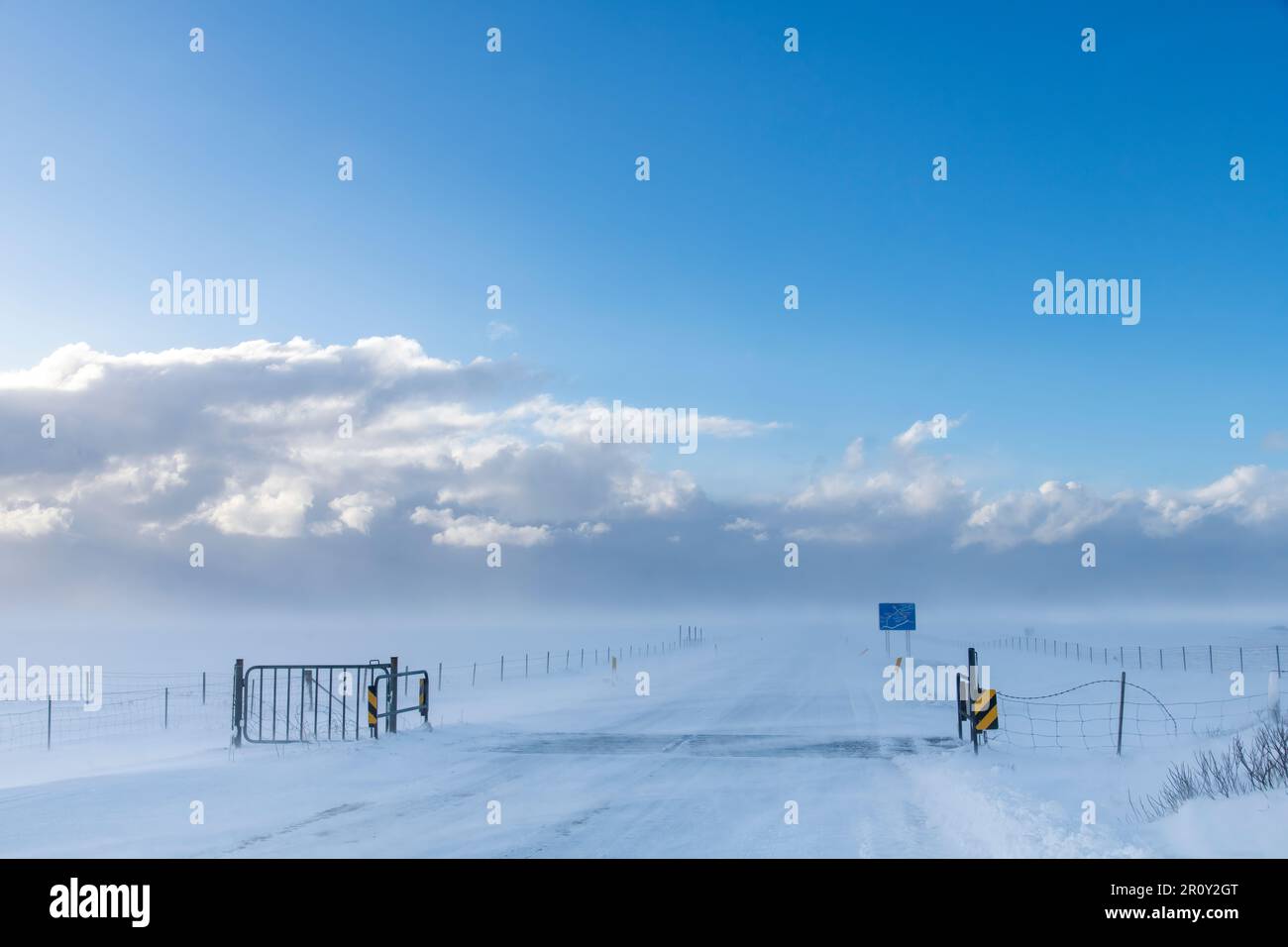 Vista sul paesaggio innevato e la strada coperta di neve con griglia del bestiame in Islanda con venti alti che soffiano la neve sulla strada e le nubi di neve in lontananza Foto Stock