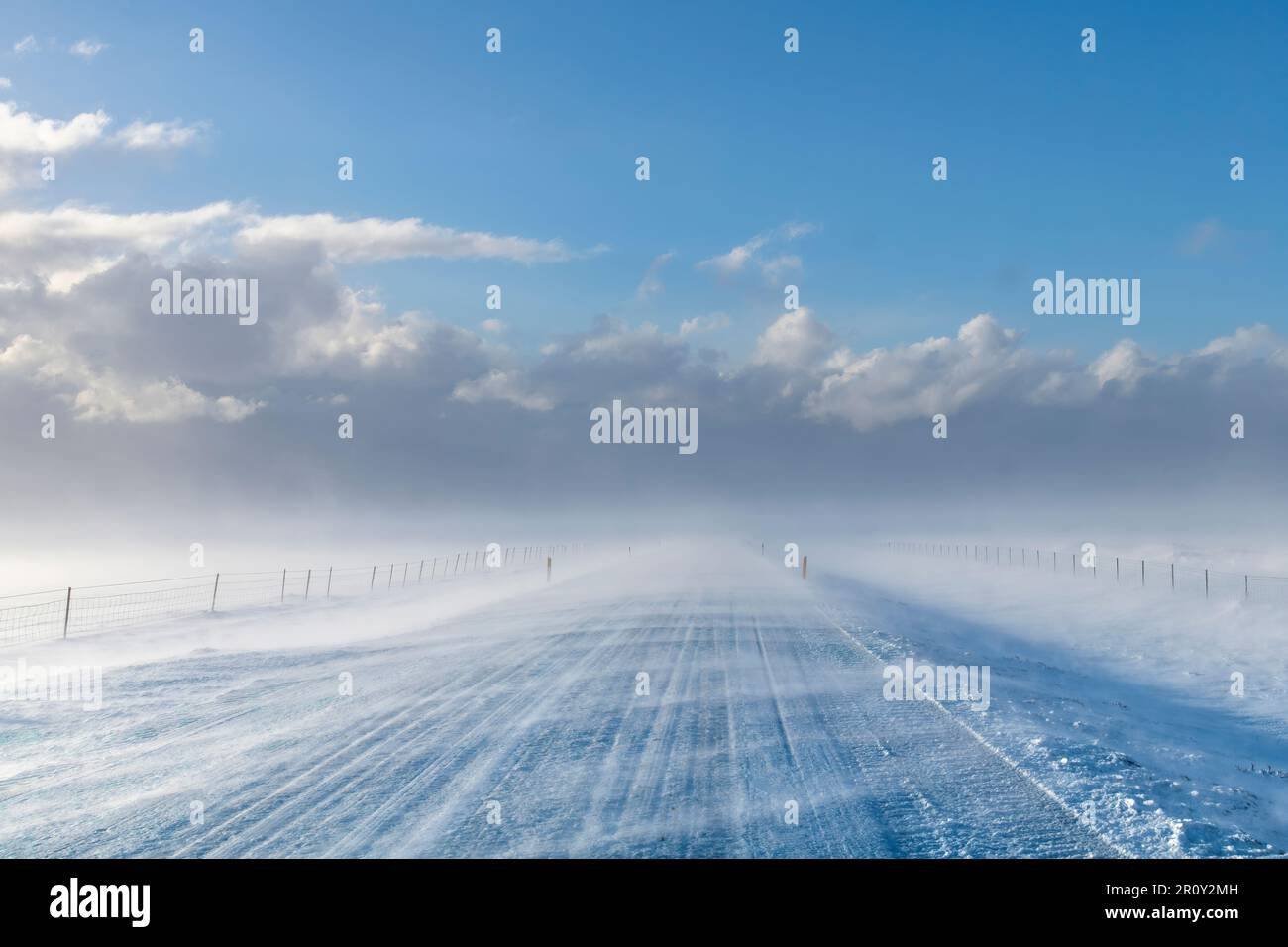 Vista sulla strada coperta di neve nel paesaggio agricolo in Islanda con alti venti che soffiano la neve sulla strada creando una sfocatura con le nubi di neve Foto Stock