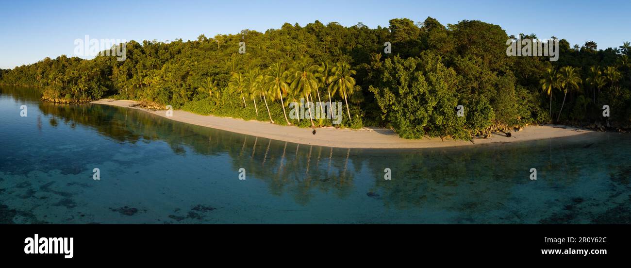 Le palme crescono lungo una spiaggia panoramica al largo della costa occidentale di Papua, Indonesia. Questa parte remota dell'Indonesia è nota per la sua elevata biodiversità marina. Foto Stock