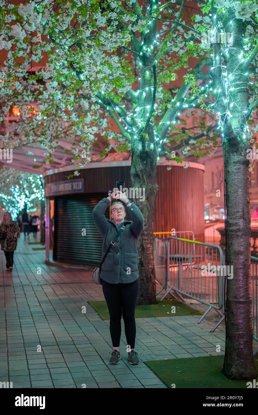 LONDRA - 21 aprile 2023: Sperimentate l'affascinante miscela di natura e architettura urbana con alberi illuminati di notte accanto al London Eye. Foto Stock