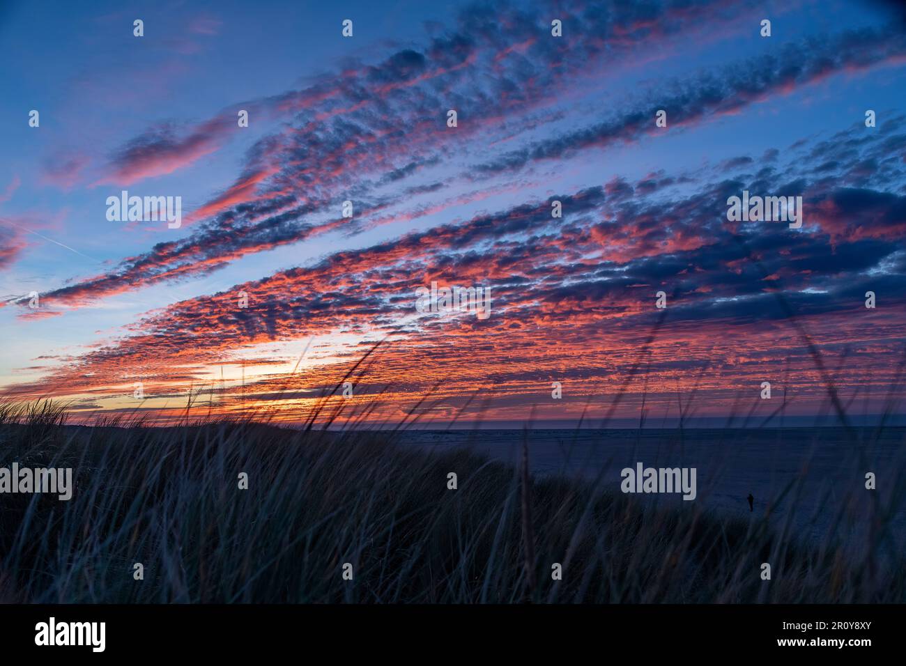 Vista panoramica del tramonto sulle dune dell'isola di Texel, nei Paesi Bassi, con lunghe fasce di nuvole color arancio in cielo con erba duna Foto Stock