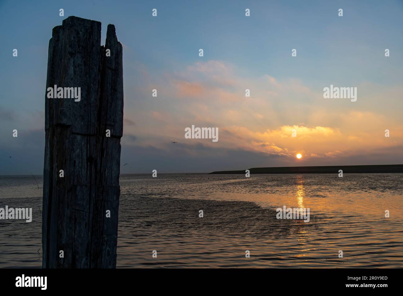 Vista del sole che sorge su dyke e mud flats durante l'alta marea sull'isola di Texel nei Paesi Bassi con cielo arancione, riflesso nell'acqua Foto Stock