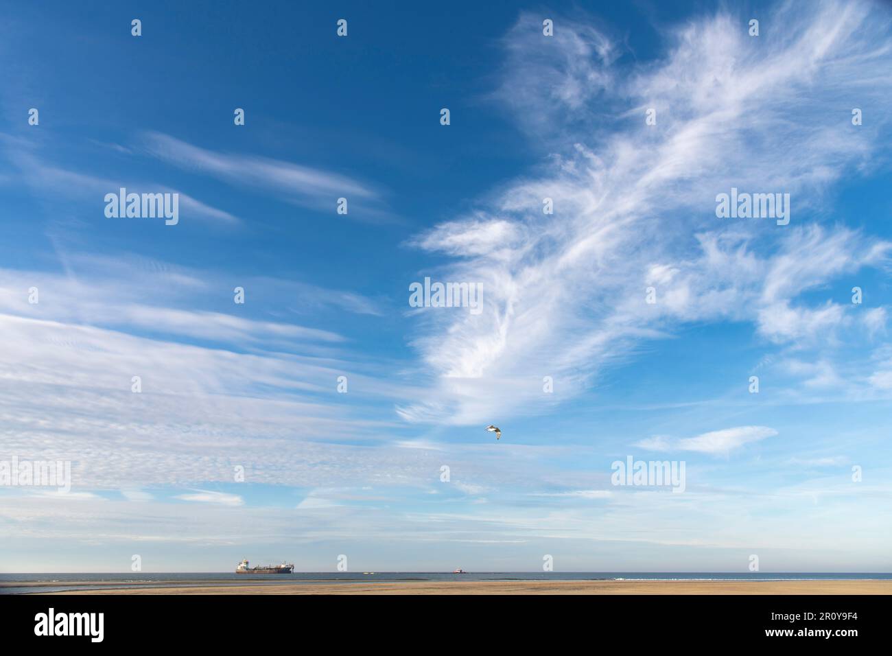 Paesaggio di un cielo blu con nuvole di piume al largo della costa dei Paesi Bassi con una nave in mare aperto e un uccello che vola sopra una sottile striscia di spiaggia Foto Stock