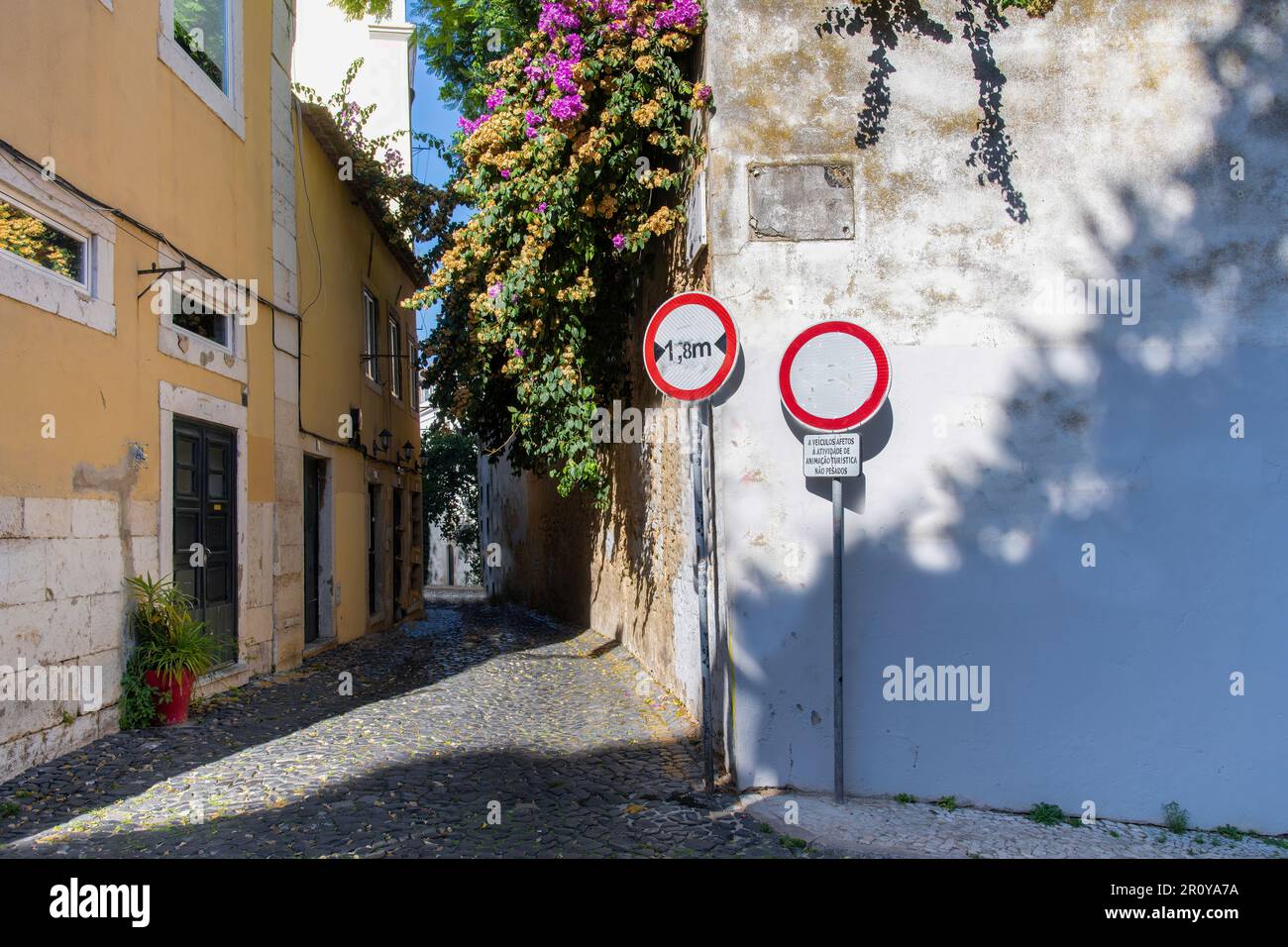 Vista delle strette strade acciottolate di Lisbona, Portogallo, con case gialle e Bougainville che crescono su una parete bianca con due segnali stradali Foto Stock