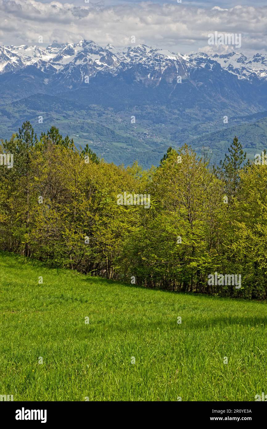 Paesaggio di montagne innevate su prati e boschi Foto Stock