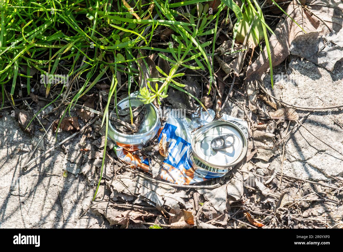 La bevanda frantumata e sbiancata può essere scartata in un campo. Foto Stock