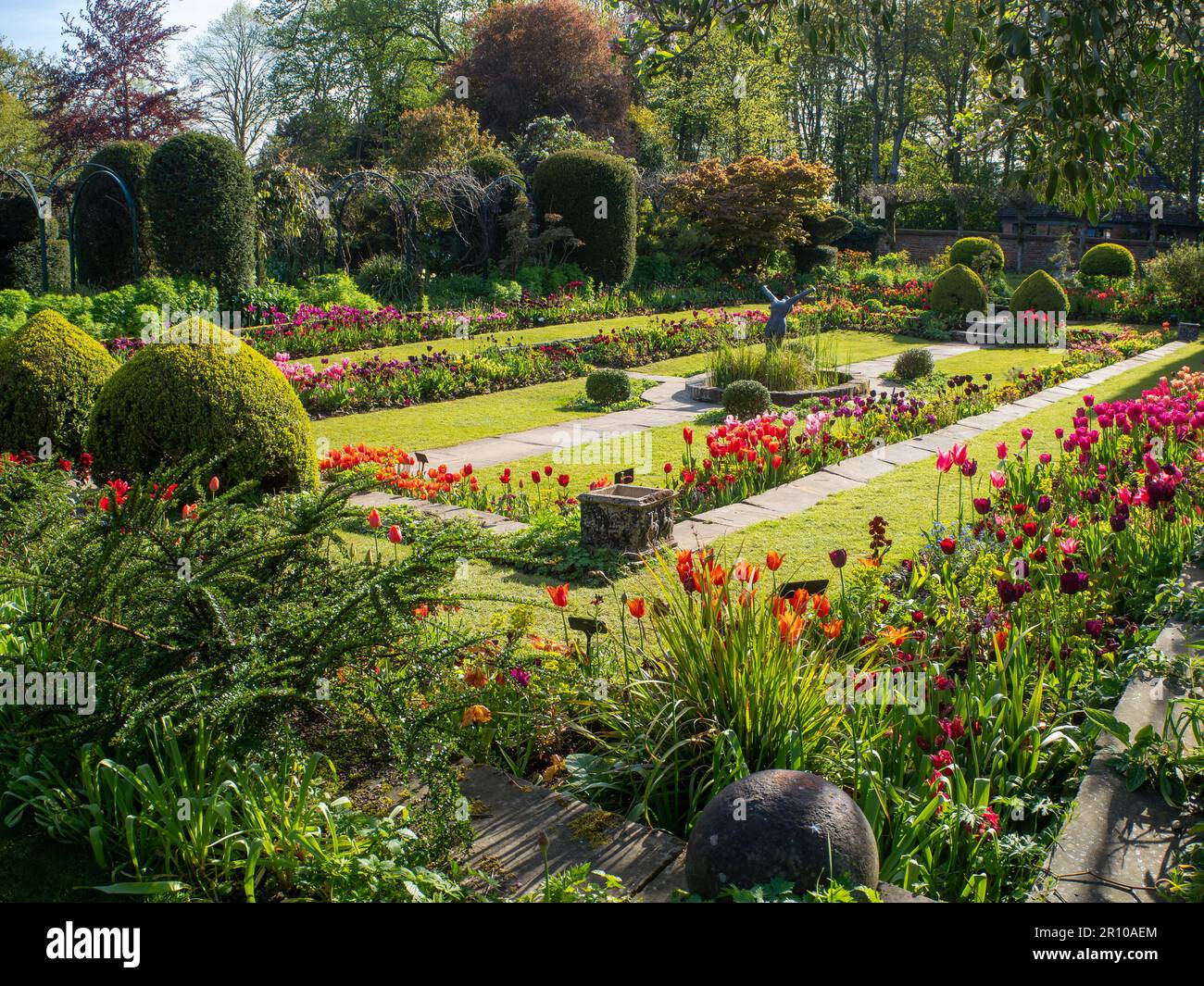 Chenies Manor Giardino tulipani nel mese di maggio. Vivaci tulipani rossi, arancioni e rosa piantati a strati nel giardino terrazzato Sunken in un bel pomeriggio. Foto Stock