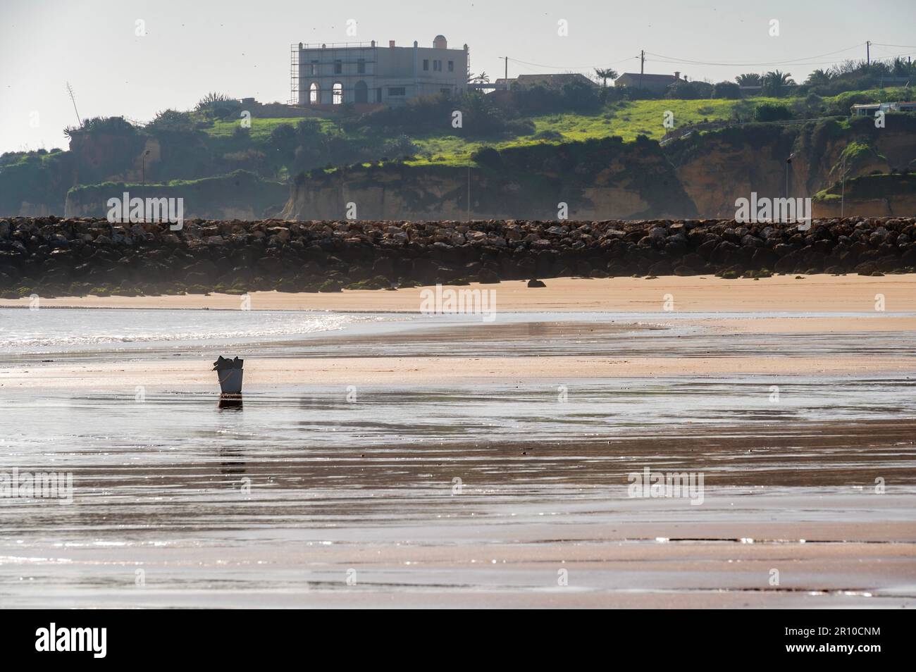 Pesca di cozze su una spiaggia vuota Foto Stock