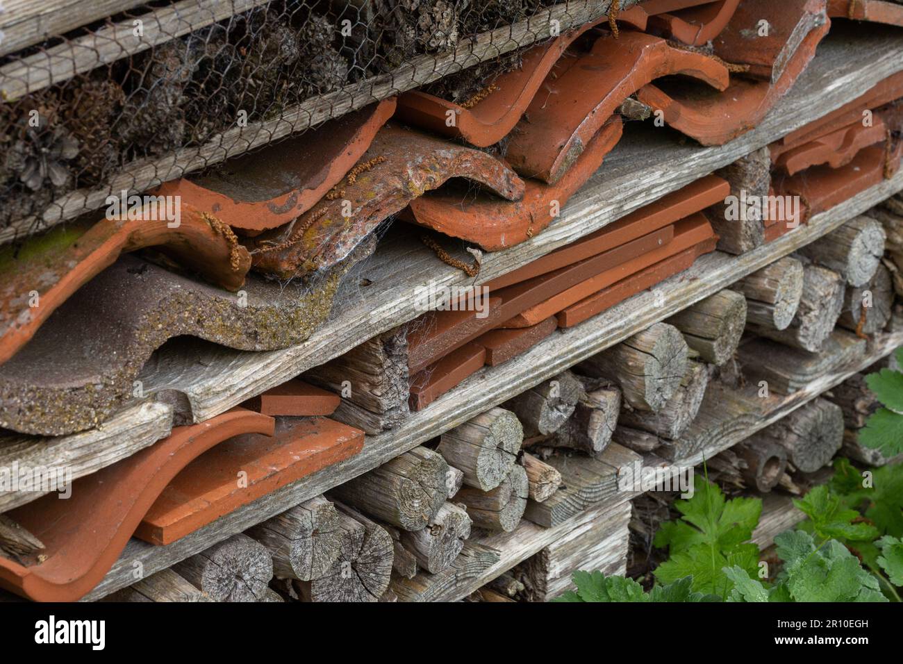 Una casa di insetti (bug hotel, mini casa bestia) costruita con bastoni, argilla rotta, rete a strati. Un habitat per gli insetti da amare e nascondere. Foto Stock