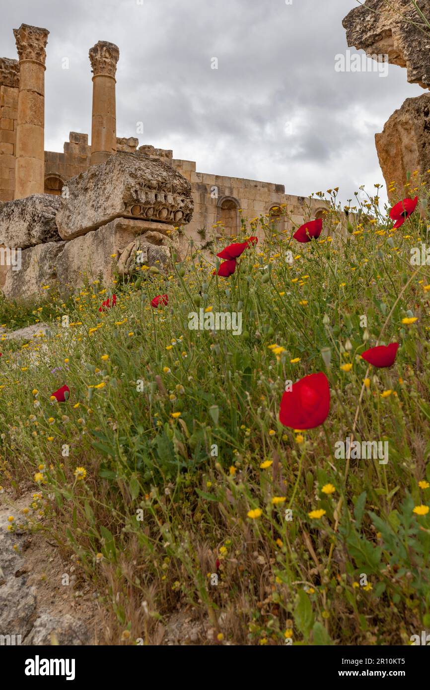 L'antica città romana di Jerash, una delle città romane più grandi e meglio conservate al di fuori dell'Italia, nel nord della Giordania Foto Stock