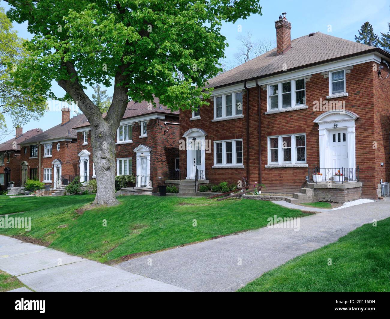 Strada suburbana con alberi maturi e grandi case semi-indipendenti a due piani Foto Stock