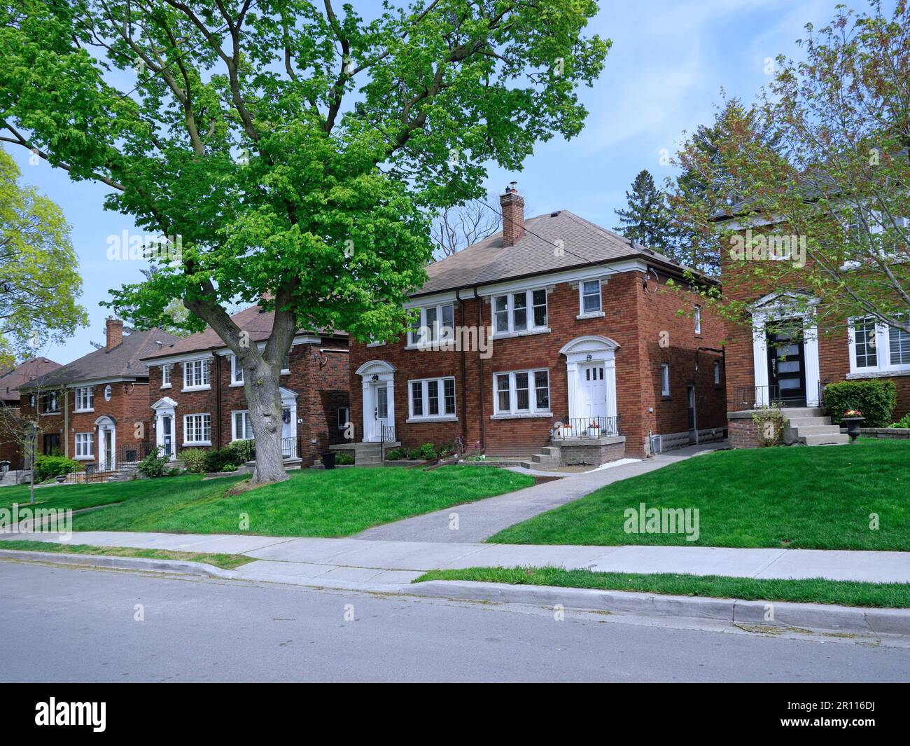 Strada suburbana con alberi maturi e grandi case semi-indipendenti a due piani Foto Stock