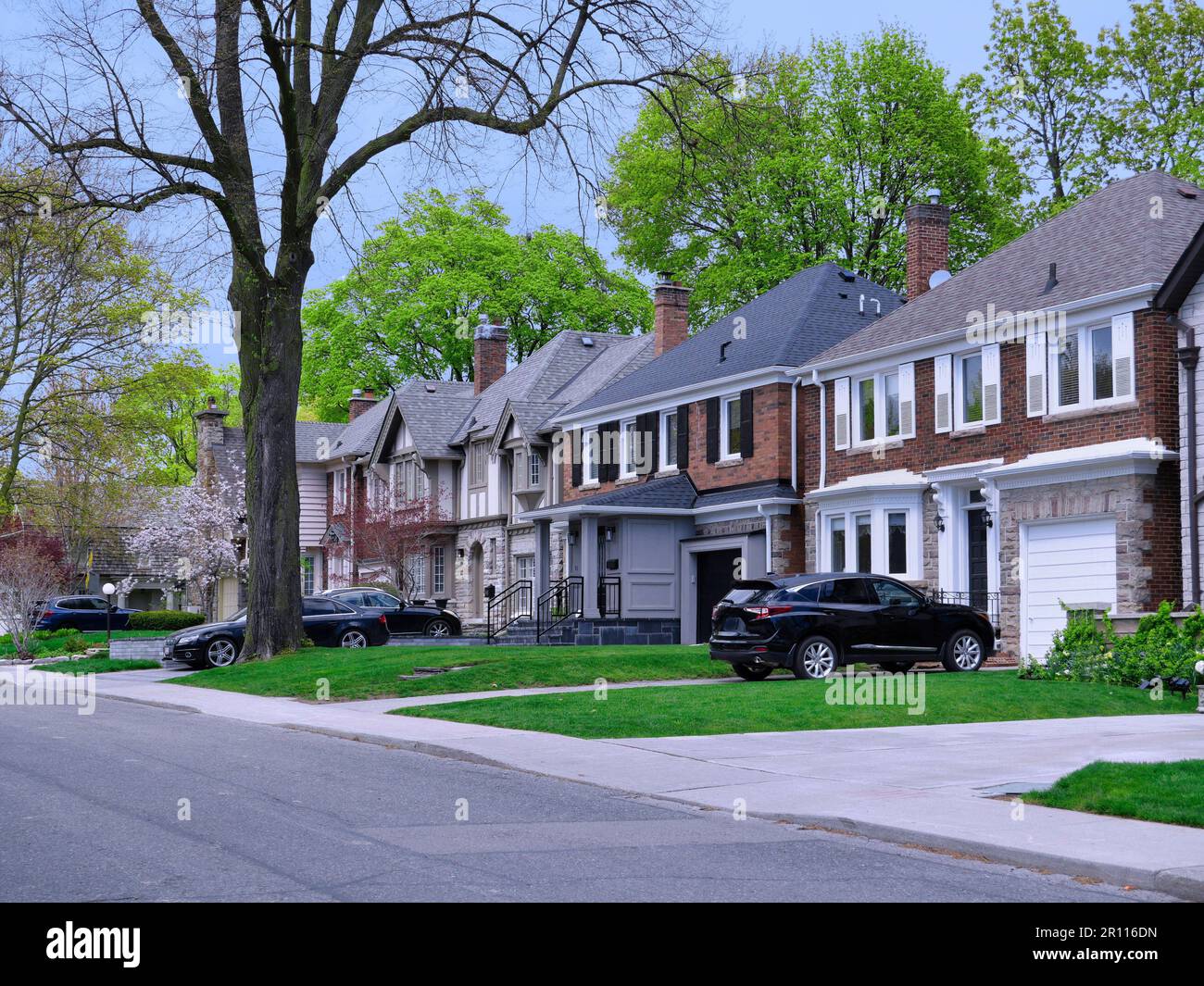 Strada suburbana con alberi maturi e grandi case a due piani Foto Stock