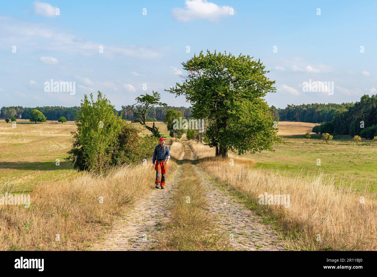 Escursionisti su un sentiero acciottolato, Steinhoefel vicino Angermuende, Uckermark, Brandeburgo, Germania Foto Stock