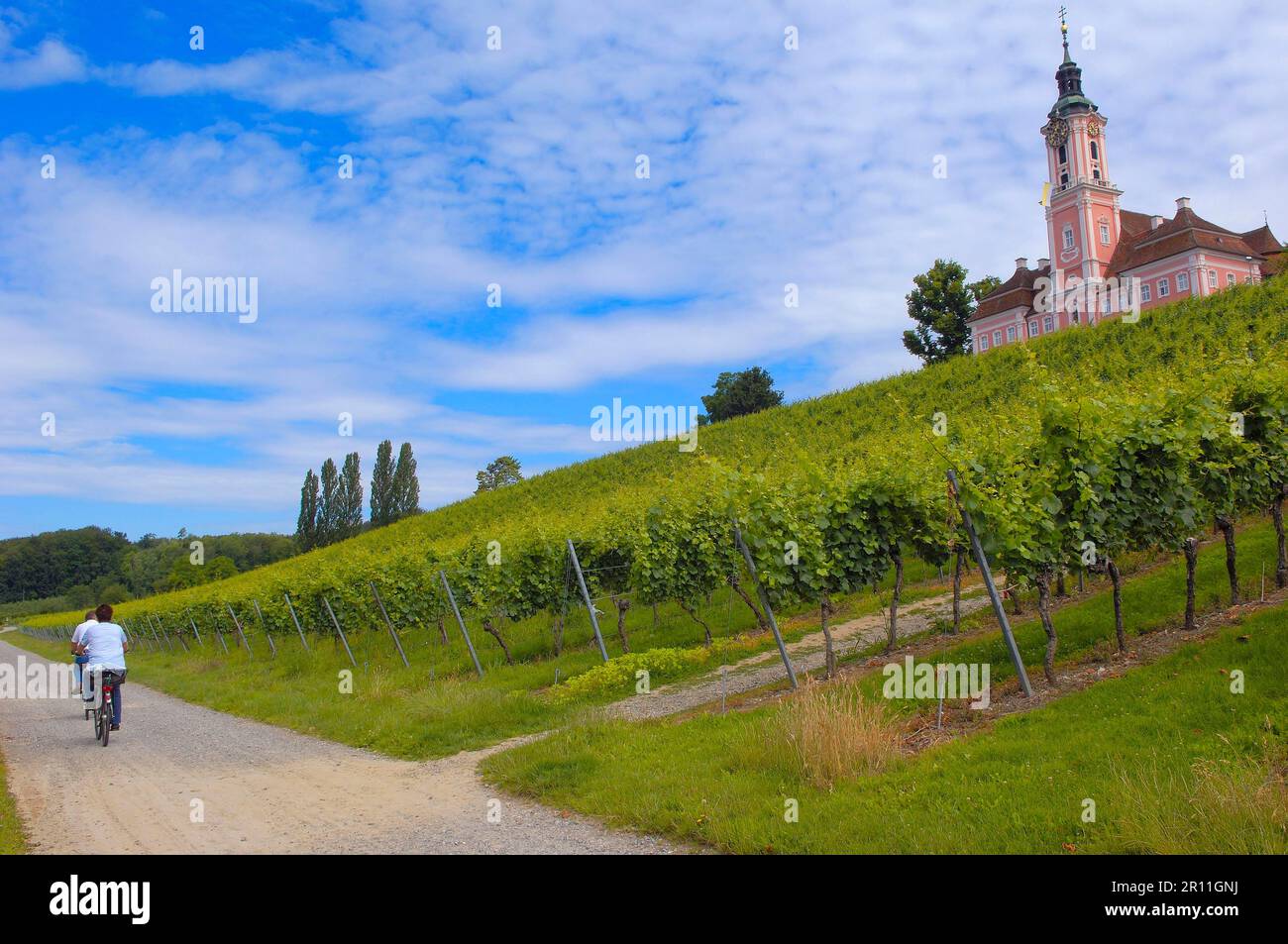 Birnau, Monastero Birnau, santuario di Birnau, pellegrinaggio mariano chiesa, Baden-Wuerttemberg, Germania, il lago di Costanza, Bodensee Foto Stock