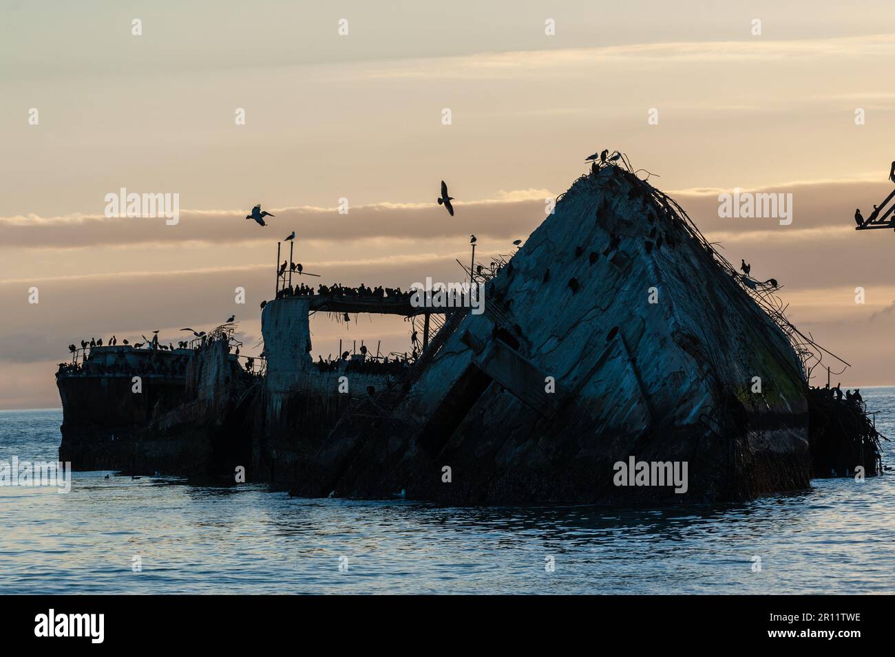 Primo piano della SS Palo Alto, un vecchio naufragio della seconda guerra mondiale al largo della costa di Aptos, California Foto Stock