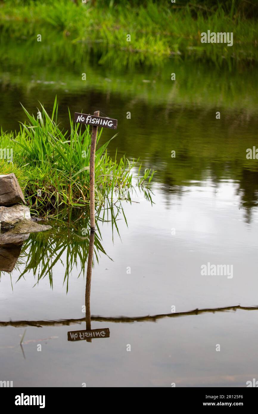 Nessun segno di pesca nel fiume con lussureggiante riva verde del fiume Foto Stock