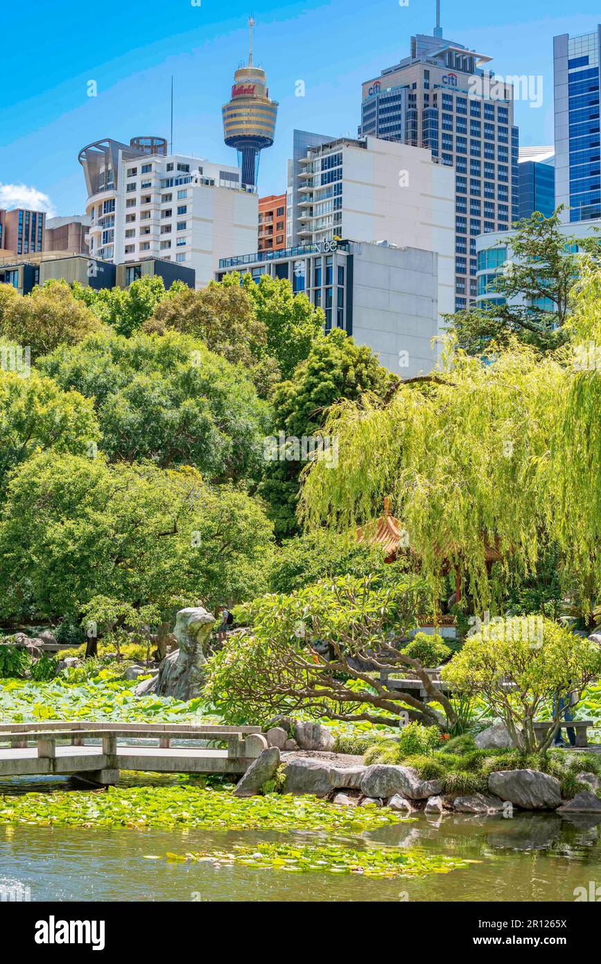 Si affaccia sul Lotus Pond e sulla lussureggiante vegetazione dei Chinese Gardens of Friendship verso il centro di Sydney in Australia Foto Stock