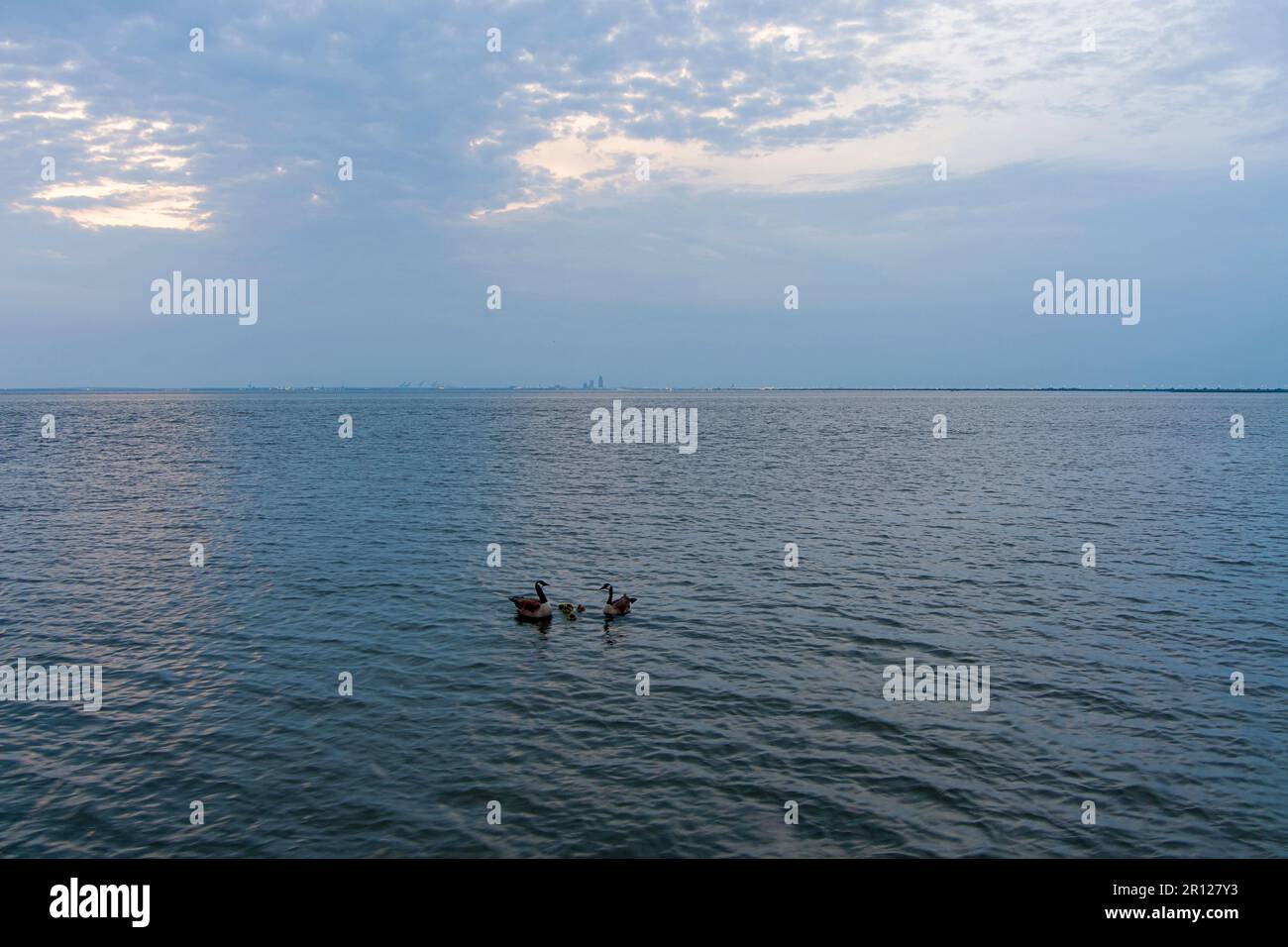 Oche e gabbie su Mobile Bay Foto Stock