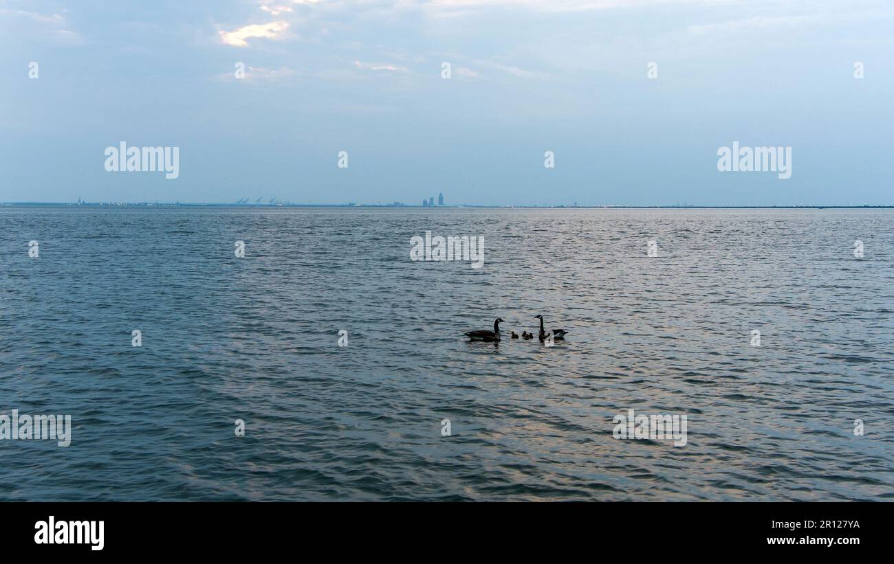 Oche e gabbie su Mobile Bay Foto Stock