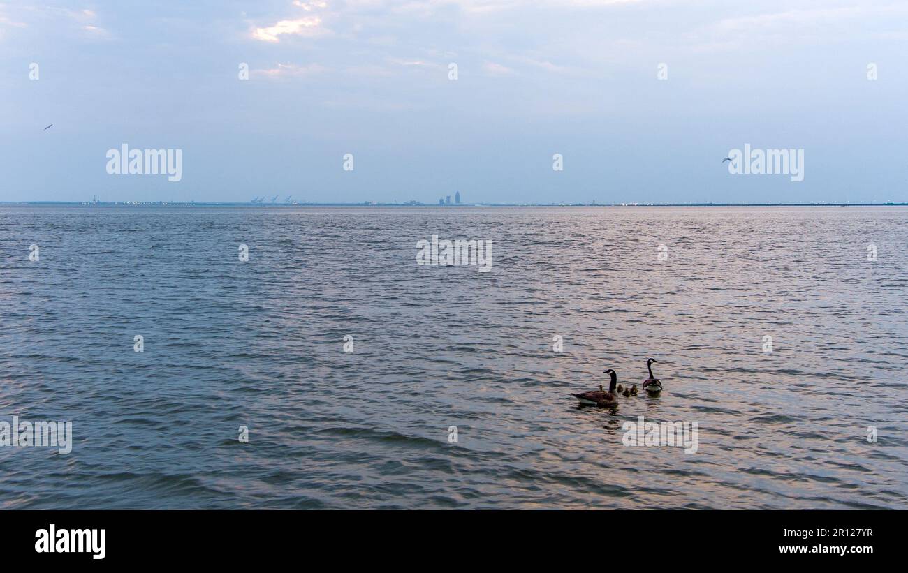 Oche e gabbie su Mobile Bay Foto Stock